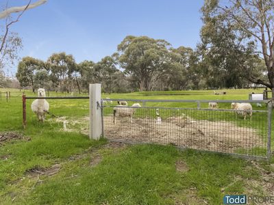 20 Shorts Lane, Heathcote