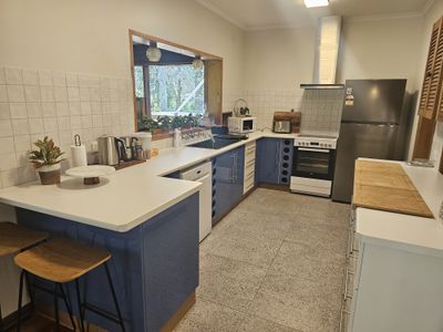 167 Williams Road, Millicent