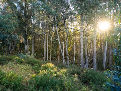 off Paddys Lane , Franklin