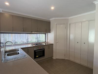 47 Treefern Street, Leopold