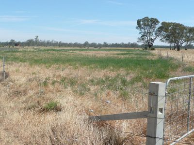 562 Murrabit Koondrook Road, Koondrook