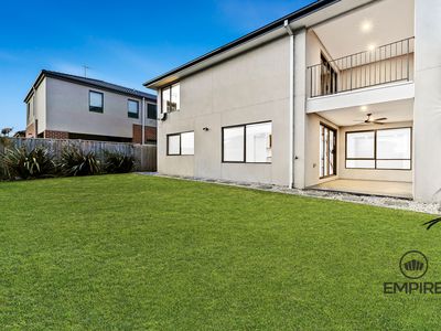 55 Fitzwilliam Cct, Clyde North