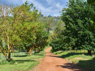 315 Wairere Road, Boorolite