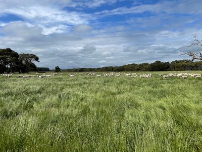 220 Furner Road, Furner