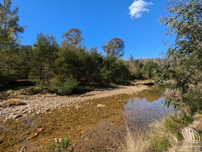 115 Gulph Creek Road, Nerrigundah