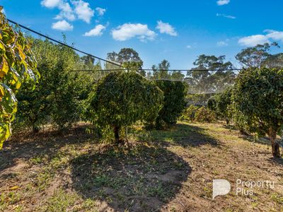 10 Lupson Court, Maiden Gully