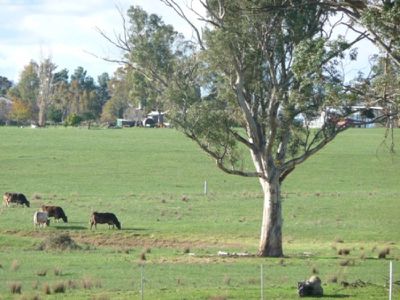 Mahers Road, Bonegilla
