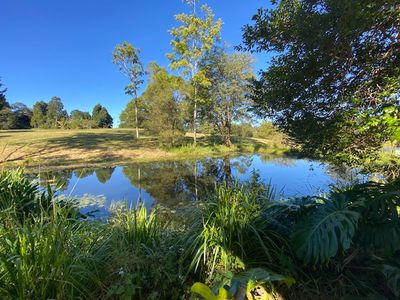 3937B Kyogle Road, Lillian Rock