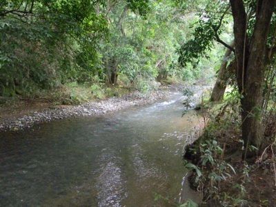 Maleny