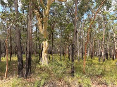 19 Rivergum Drive, Morisset