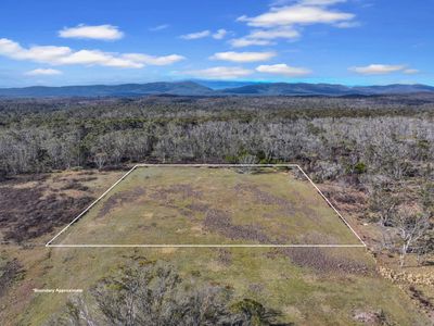 Lot 113 / 443 Back Creek Road, Mongarlowe