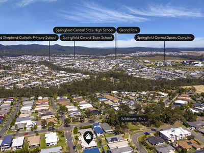 59 Waratah Crescent, Springfield Lakes