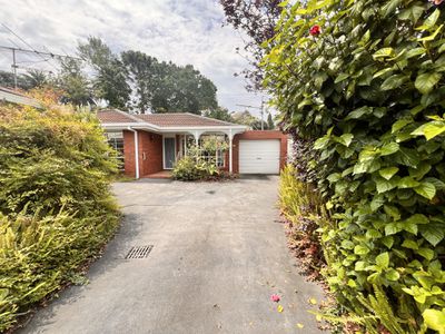 3 / 6A Huntingdon Street, Newtown