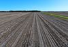 515 Napier Road, Dalyup