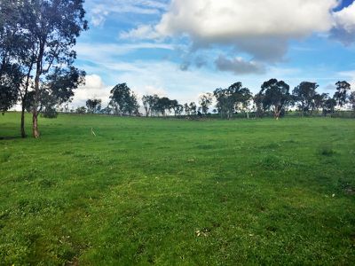 Lot 32 Andrews Lane, Yackandandah