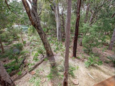 4 Flora Grove , Molloy Island
