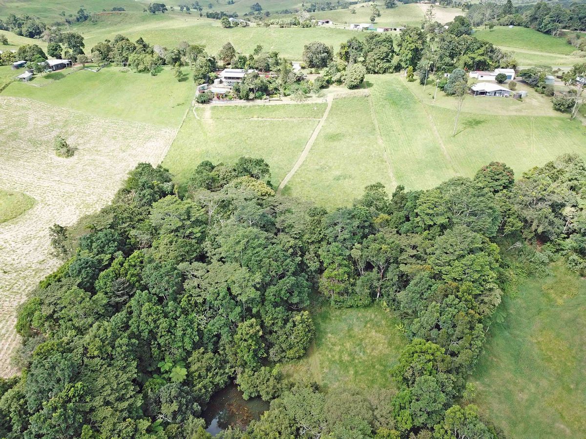 Malanda