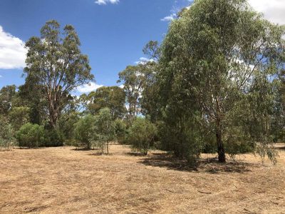Lot 154, Murrabit Road, Koondrook