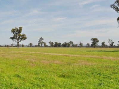 Wagga Wagga Road, Holbrook