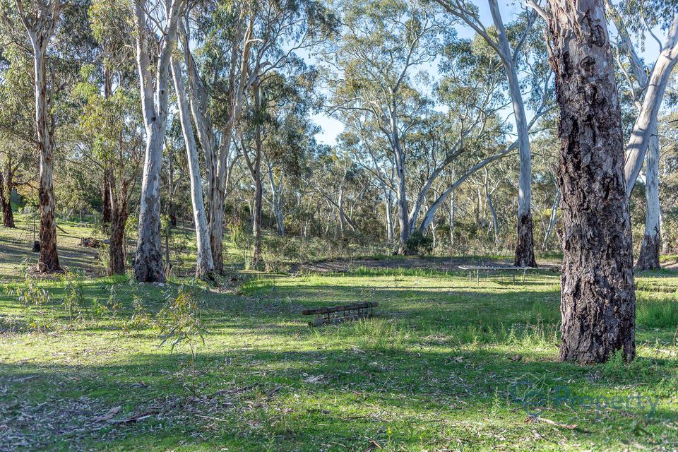 145 Kestel Road, Humbug Scrub