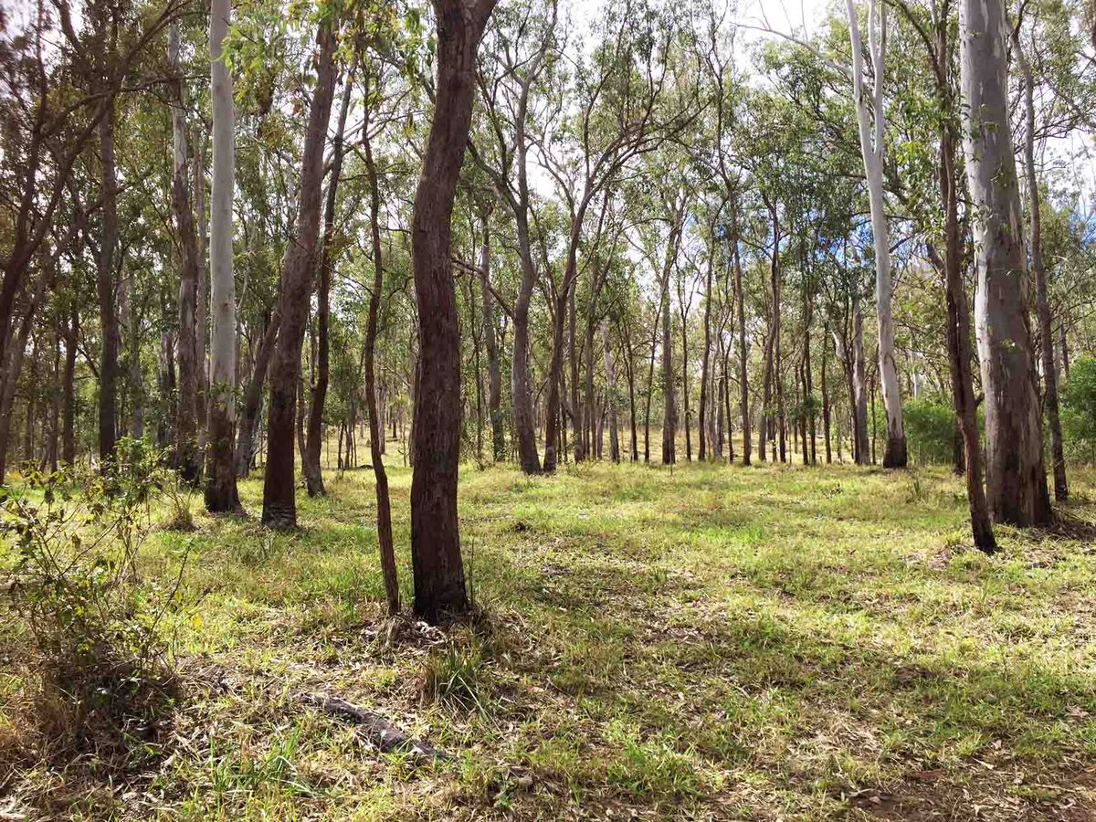 Lot 701-705, Rolley Road, Wondecla