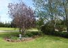 917 Bowen Park Road, Orange