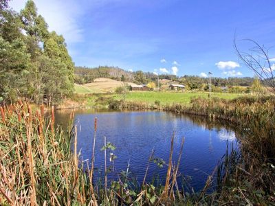 184 Golden Valley Road, Cygnet