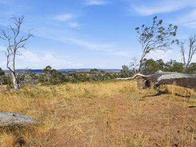 75 Prossers Forest Road, Ravenswood