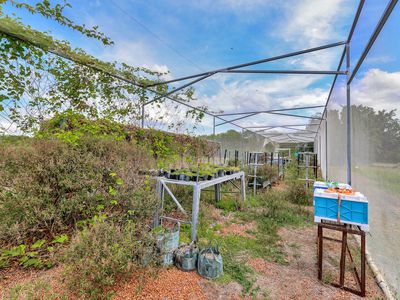 600 Mocatto Road, Acacia Hills