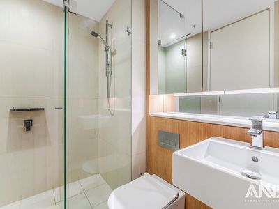 1305 / 161 Clarence Street, Sydney