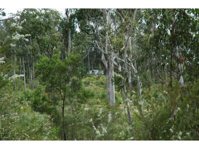 71 Maramingo Road, Maramingo Creek