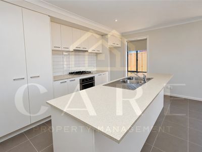 20 Swallowtail Avenue, Clyde North