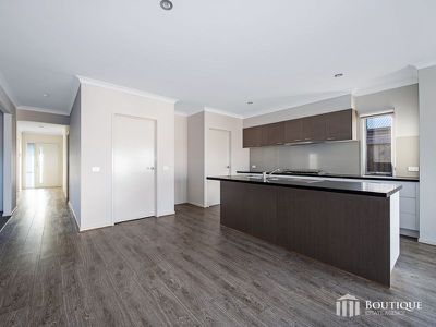45 Carlyle Crescent, Clyde North