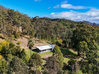 1055 Pappinbarra Road, Lower Pappinbarra