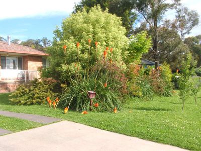 Glen Innes