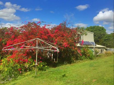 Lot 4 Wallaby Road, Stony Chute