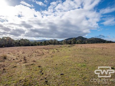 13 Bluff River Road, Tenterfield