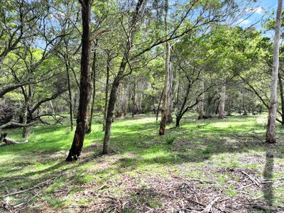 12 Half Moon Road, Mongarlowe