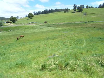360 Arve Road, Geeveston