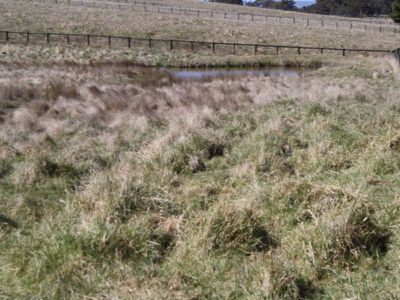2879 Great Western Highway, Meadow Flat