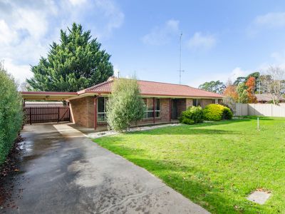 41 Starline Drive, Mount Gambier