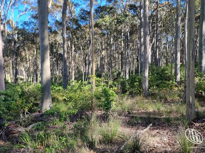 Lot 16, Mystery Bay Road, Mystery Bay