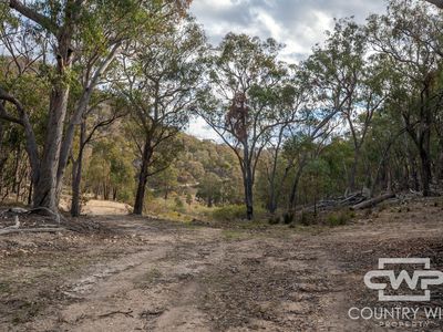Lot 140, / Dellwood Road, Deepwater