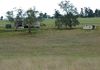 5220 The Escort Way Toogong, Orange