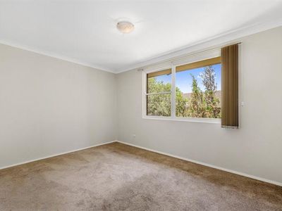 8 / 7 The Avenue, Ashfield