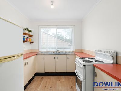 36 Brush Box Avenue, Medowie