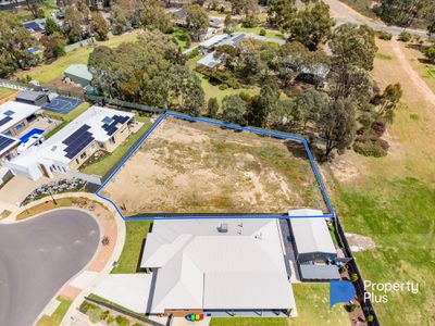 10 DUNCAN COURT, Junortoun