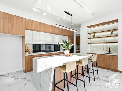 8 Planthopper Street, Marsden Park