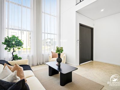 47  Feathertail Avenue, Marsden Park