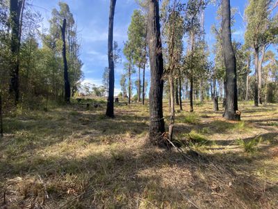 67 Karbeethong Avenue, Mallacoota